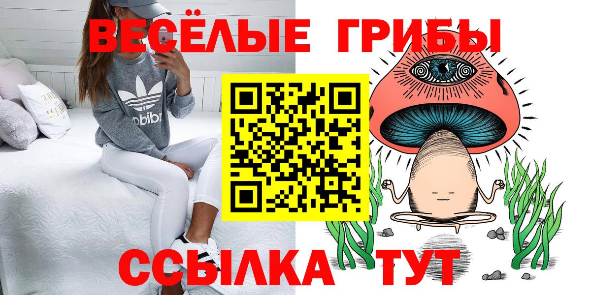 дарнет шоп  Псилоцибиновые грибы Psilocybine cubensis  Вход с VPN  Брянск 