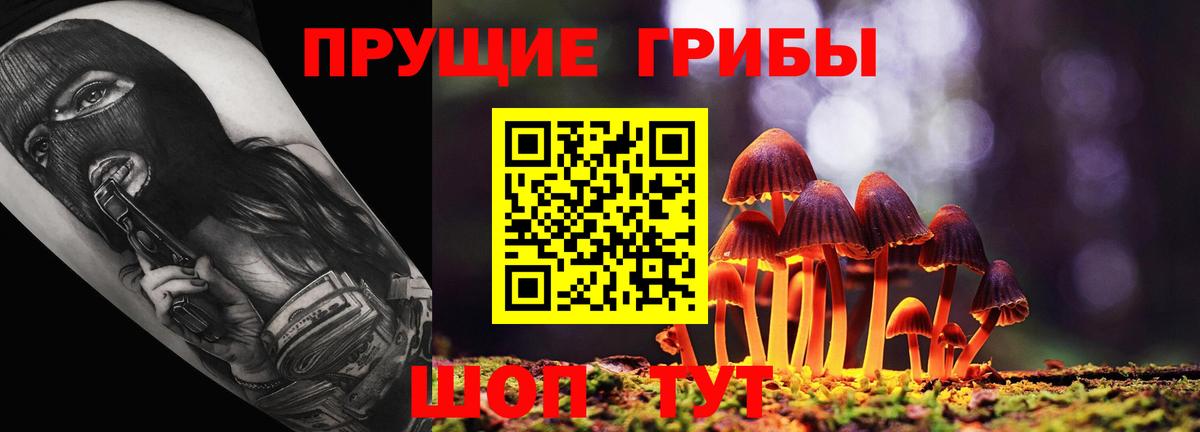 Псилоцибиновые грибы Psilocybine cubensis Брянск